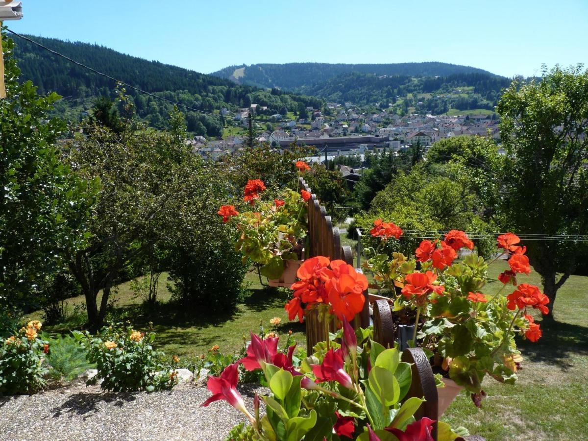 La Maison Bel'Air Gérardmer Eksteriør bilde